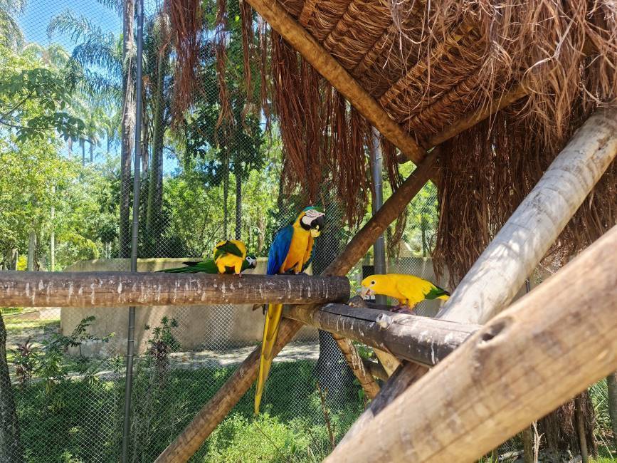 Rio_de_Janerio_BioPark_of_Rio_4