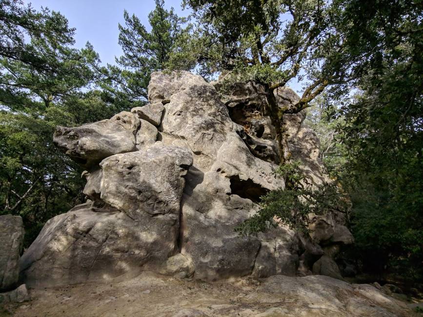Santa_Clara_Castle_Rock_State_Park_2