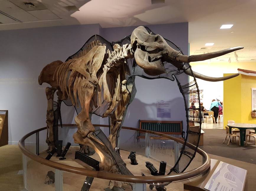 Santa_Clara_Childrens_Discovery_Museum_of_San_Jose_3