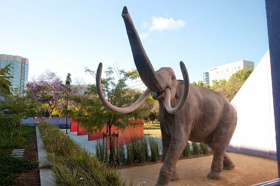 Santa_Clara_Childrens_Discovery_Museum_of_San_Jose_4