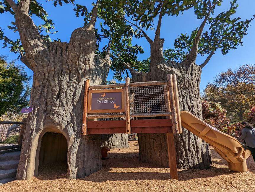 Santa_Clara_Childrens_Discovery_Museum_of_San_Jose_6