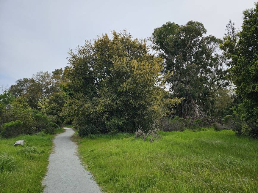 Santa_Clara_Ulistac_Natural_Area_2