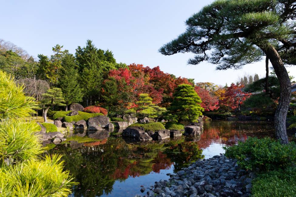Seattle_Japanese_Garden_SS_3