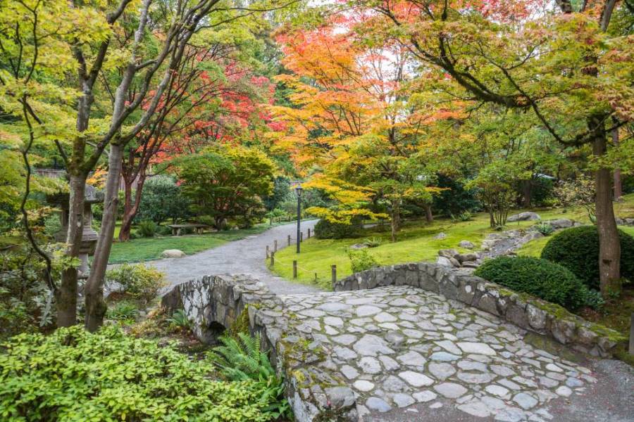 Seattle_Washington_Park_Arboretum_SS_4