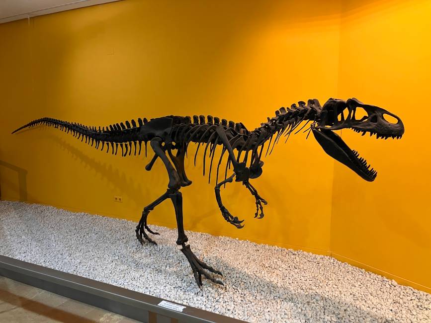 Valencia_Museo_de_Ciencias_Naturales_1