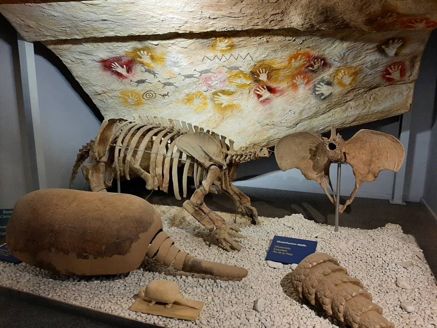 Valencia_Museo_de_Ciencias_Naturales_4