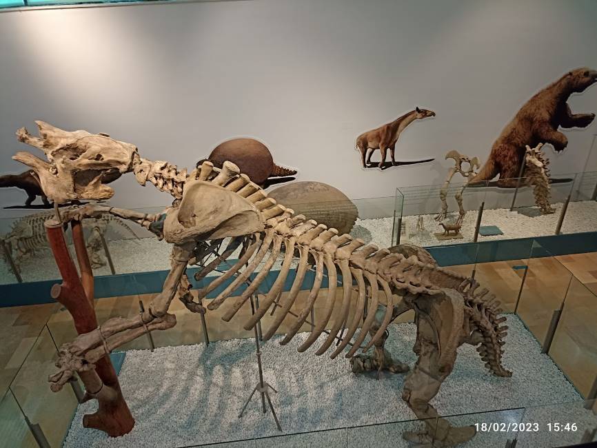 Valencia_Museo_de_Ciencias_Naturales_6