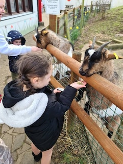 Gorse Hill City Farm