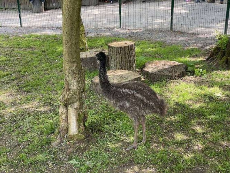 Leicester_Tropical_Birdland_5