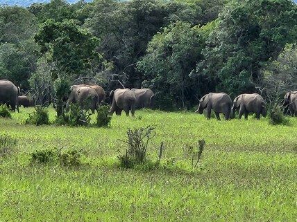 Enonkishu Conservancy