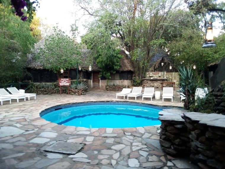 Maasai_Mara_Fig_Tree_Camp_3