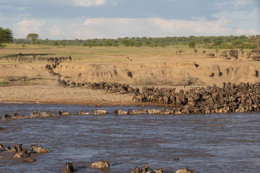 Maasai_Mara_Mara_River_SS_1