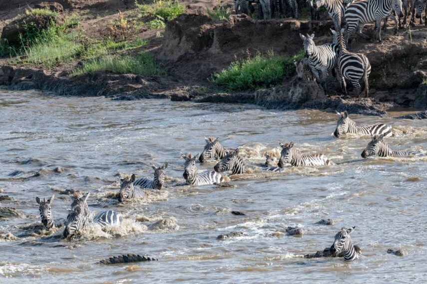 Maasai_Mara_Mara_River_SS_2