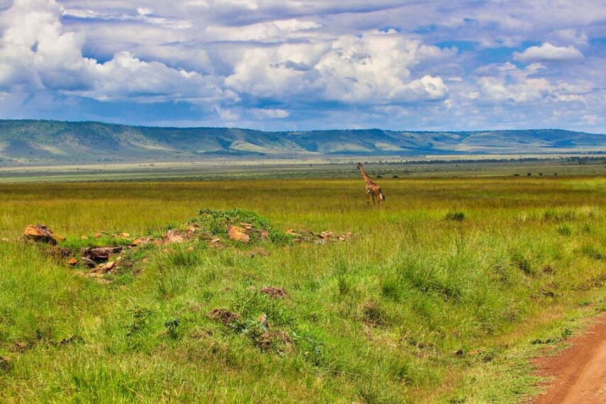 Maasai_Mara_Mara_Triangle_SS_4