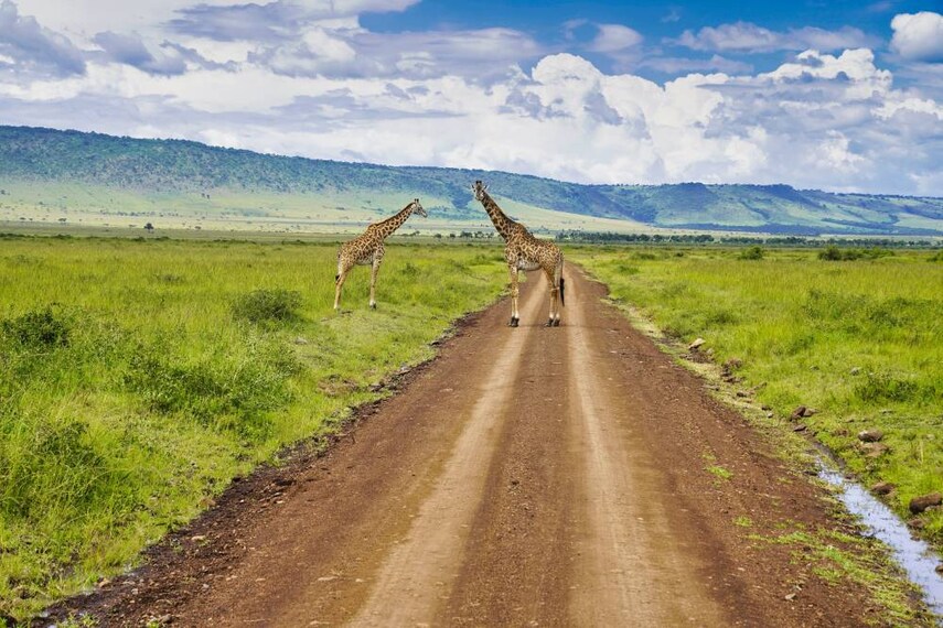 Maasai_Mara_Mara_Triangle_SS_5
