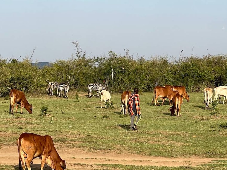 Maasai_Mara_Nashulai_Maasai_Conservancy_4