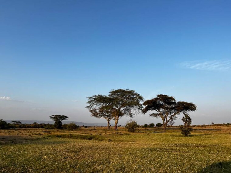 Maasai_Mara_Ol_Kinyei_Conservancy_1