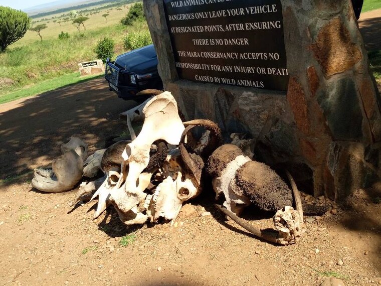 Maasai_Mara_Oloololo_Gate_8