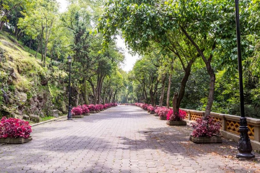Mexico_Bosque_de_Chapultepec_SS_3