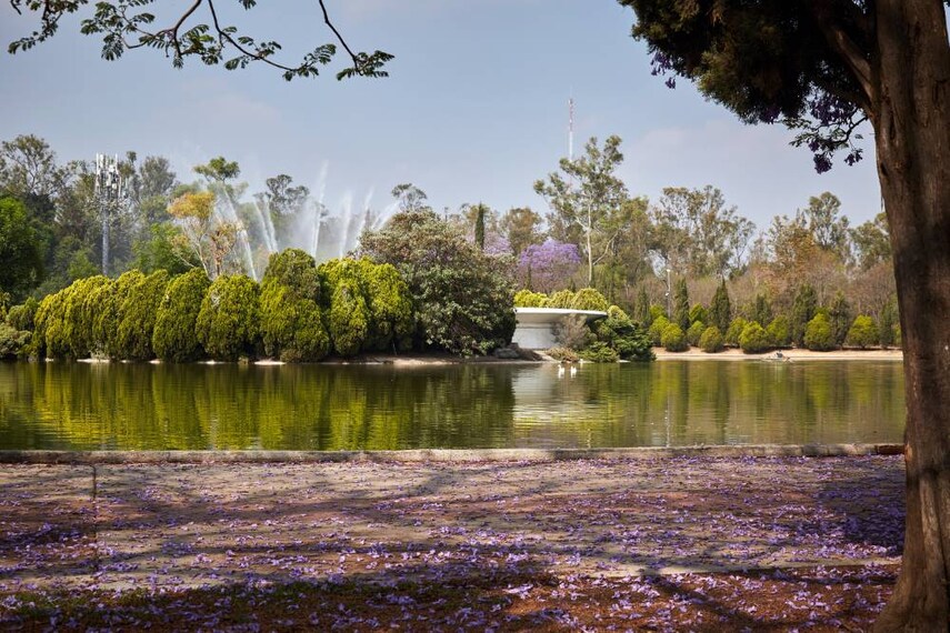 Mexico_Bosque_de_Chapultepec_SS_4