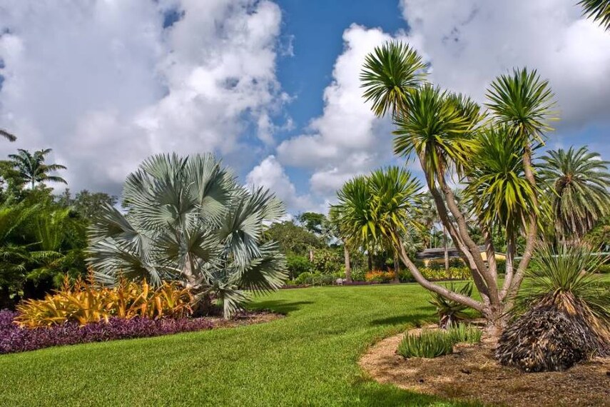 Miami_Fairchild_Tropical_Botanic_Garden_SS_3