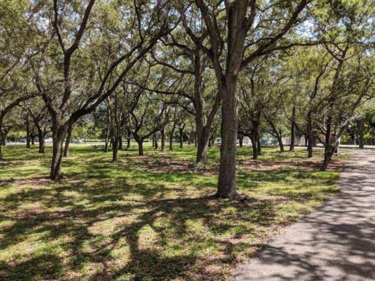 Miami_Greynolds_Park_2