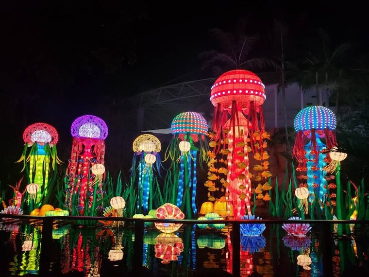 Miami_Jungle_Island_2