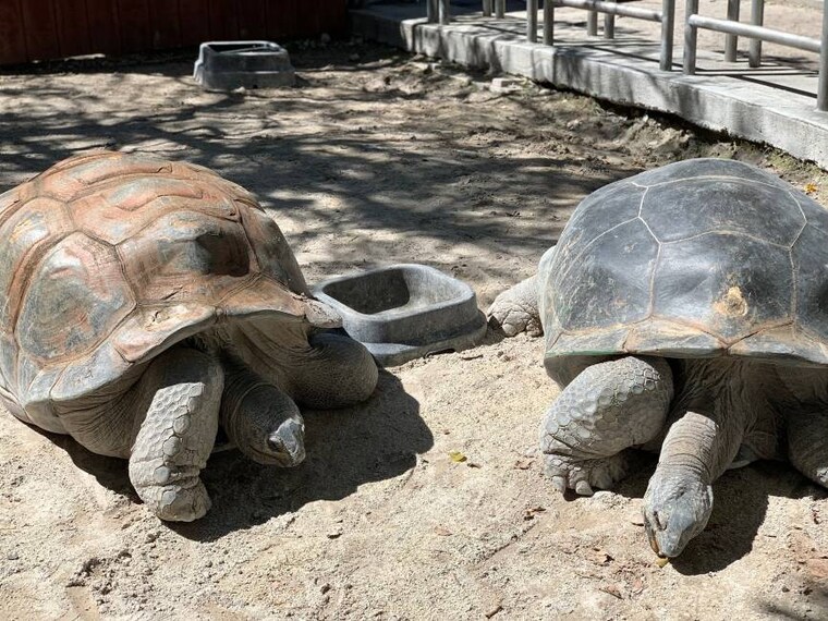 Miami_Jungle_Island_4