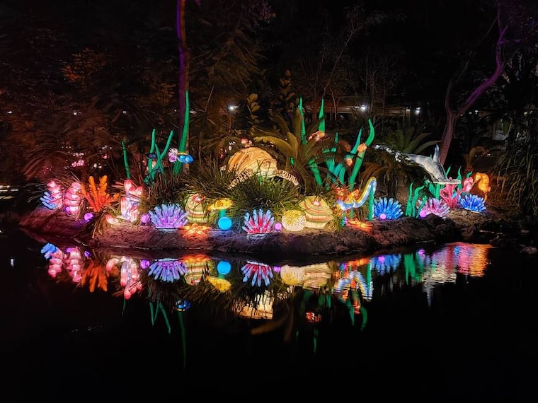 Miami_Jungle_Island_5