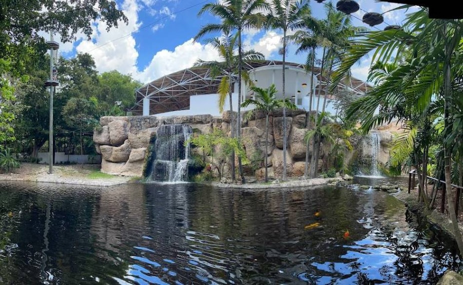 Miami_Jungle_Island_7