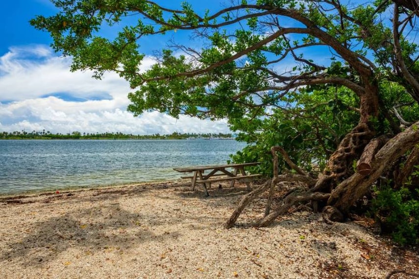 Miami_Oleta_River_State_Park_SS_1