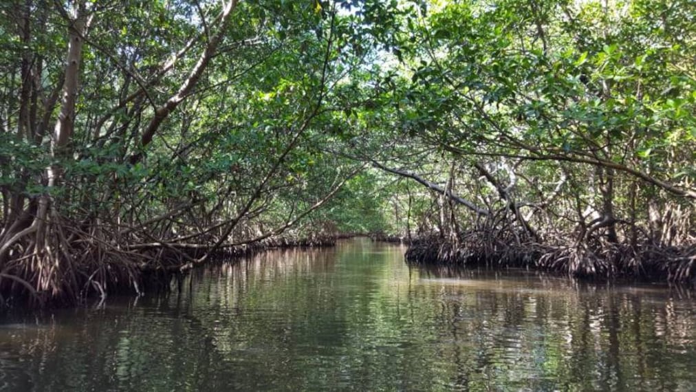 Miami_Oleta_River_State_Park_SS_2