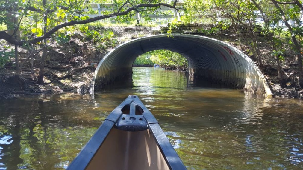 Miami_Oleta_River_State_Park_SS_3