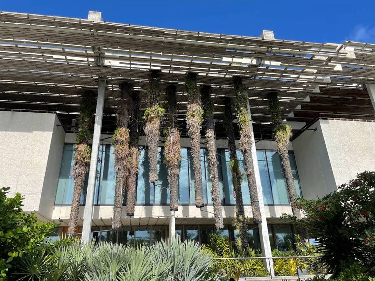 Miami_Perez_Art_Museum_Miami_2