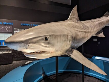 Philip & Patricia Frost Museum of Science