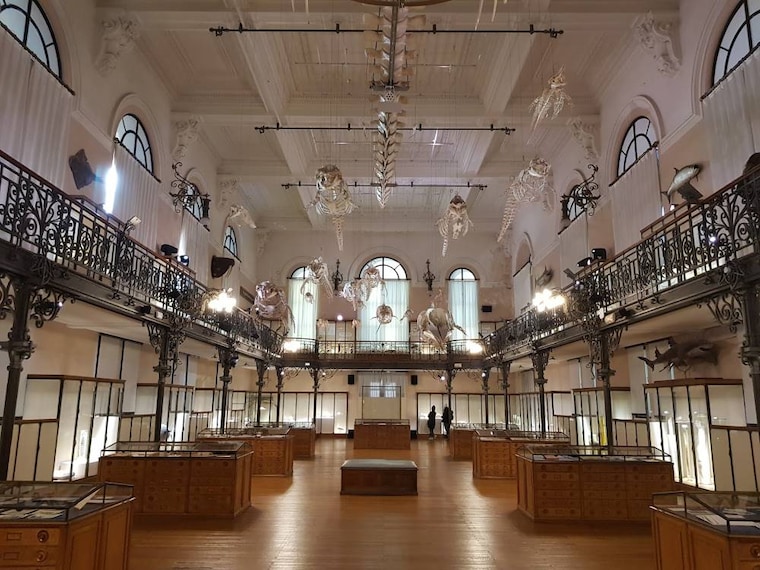 Monaco_Oceanographic_Museum_9