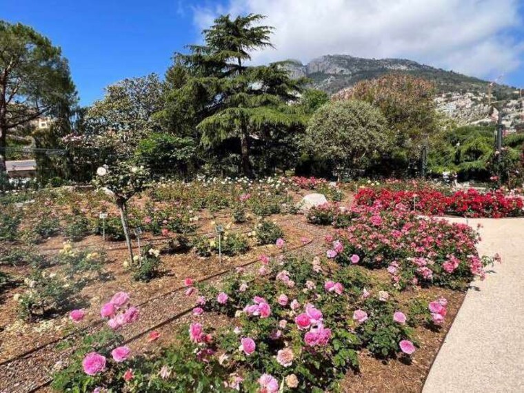 Monaco_Roseraie_Princesse_Grace_1