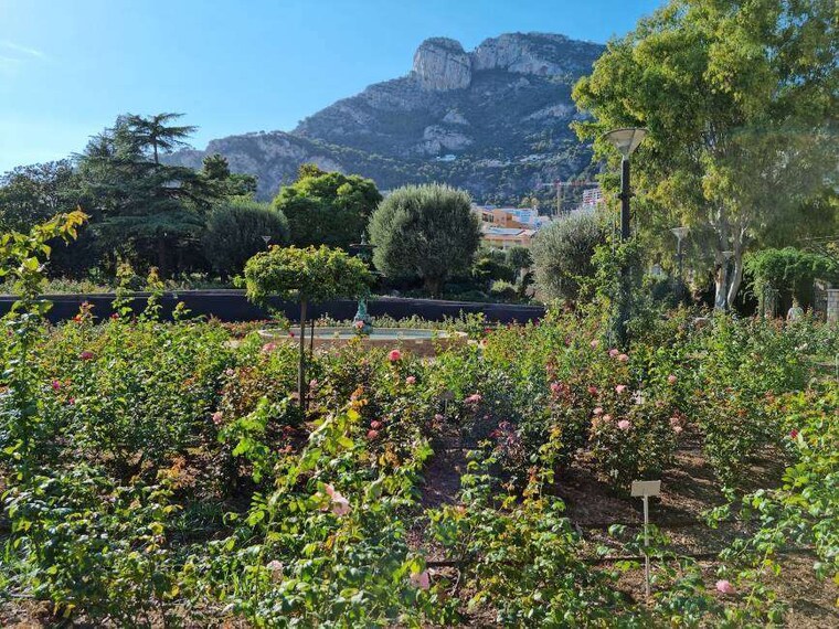Monaco_Roseraie_Princesse_Grace_2