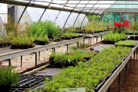 Naturescape Wildflower Farm