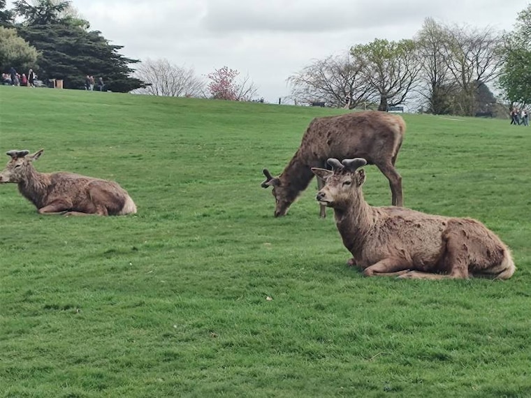 Nottingham_Wollaton_Hall_4
