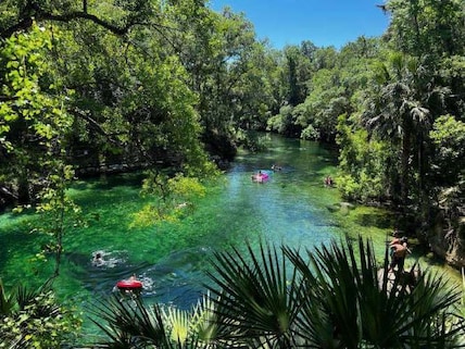 Blue Spring State Park