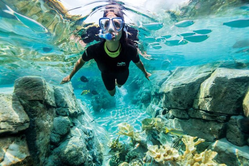 Orlando_Discovery_Cove_1