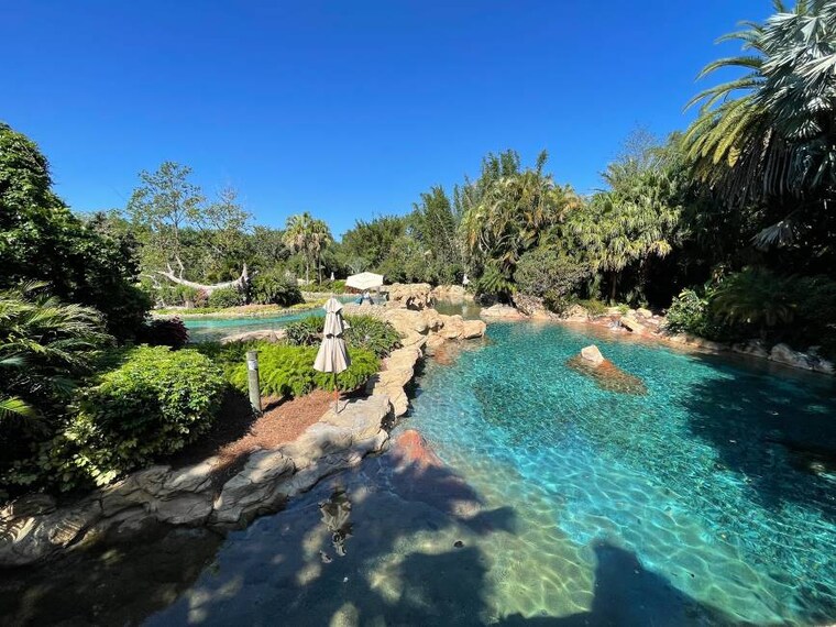 Orlando_Discovery_Cove_3