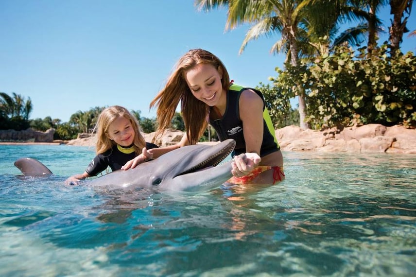 Orlando_Discovery_Cove_6