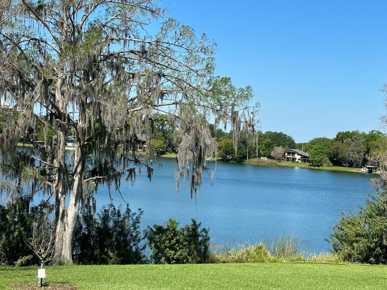 Orlando_Harry_P_Leu_Gardens_2