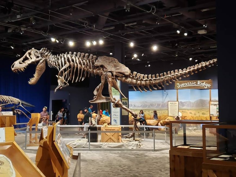 Orlando_Orlando_Science_Center_1