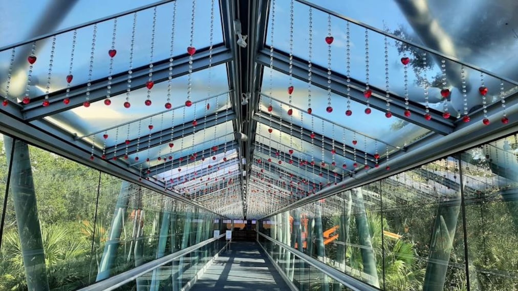 Orlando_Orlando_Science_Center_2