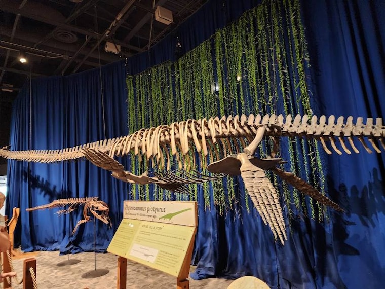 Orlando_Orlando_Science_Center_4