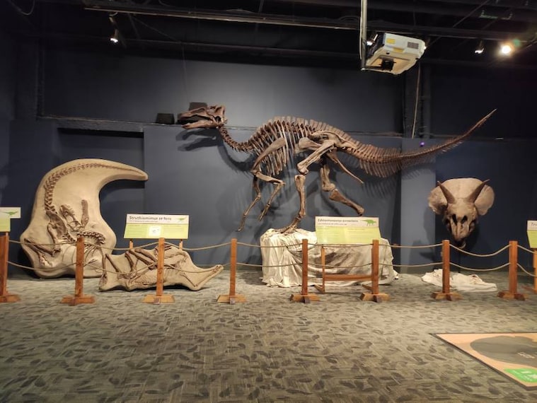 Orlando_Orlando_Science_Center_6