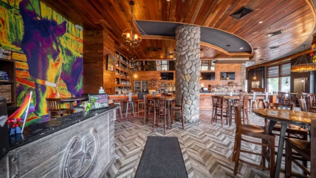 Orlando_The_Stubborn_Mule_1